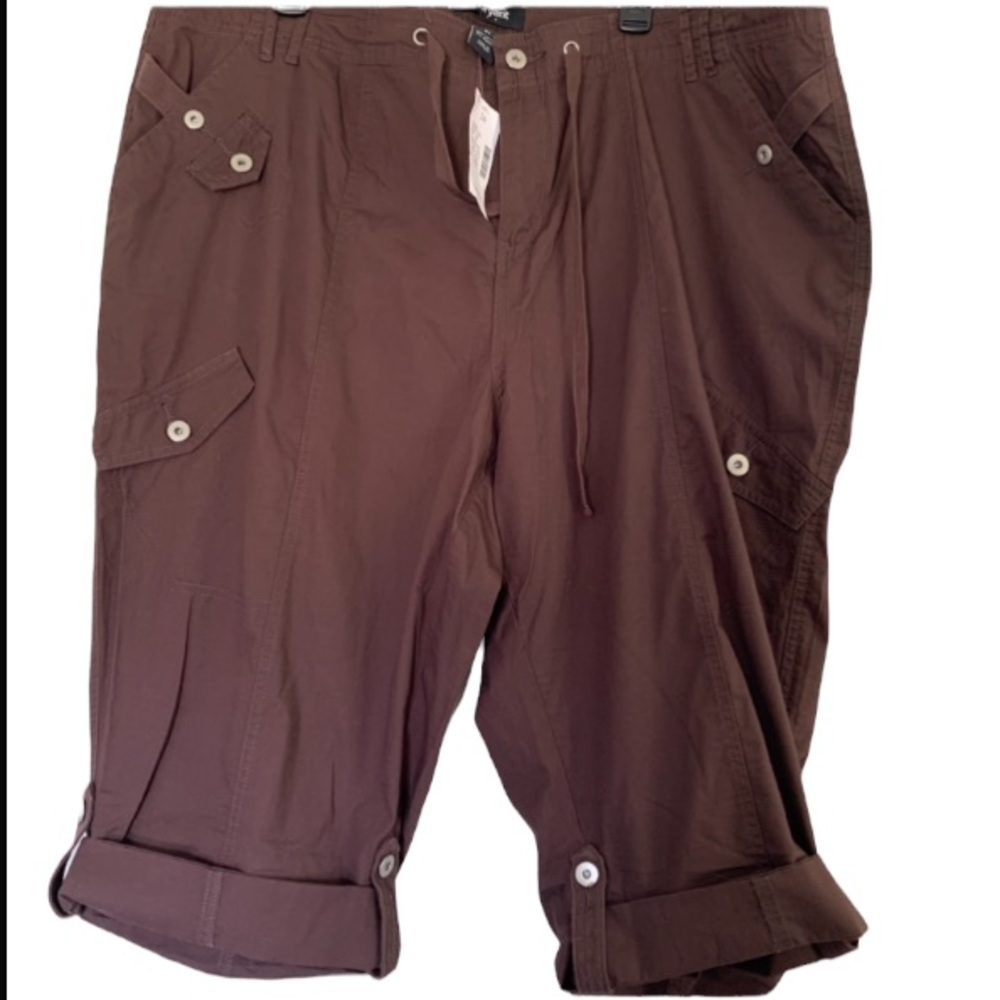 NWT Lane Bryant Plus Size Shorts Women’s Size 24